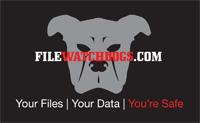 file watch dogs identity